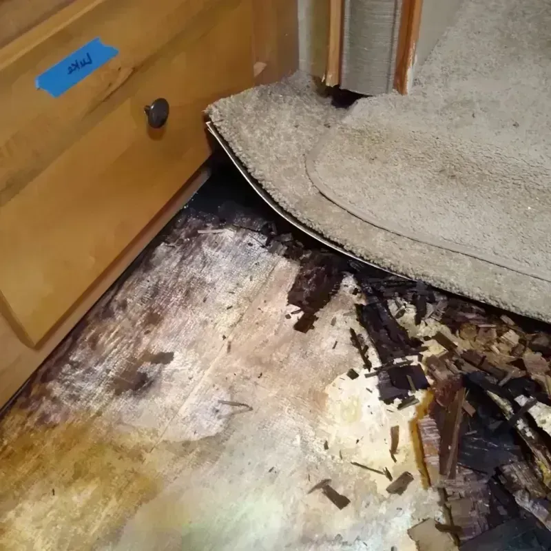 Wood Floor Water Damage in Spencer, WV